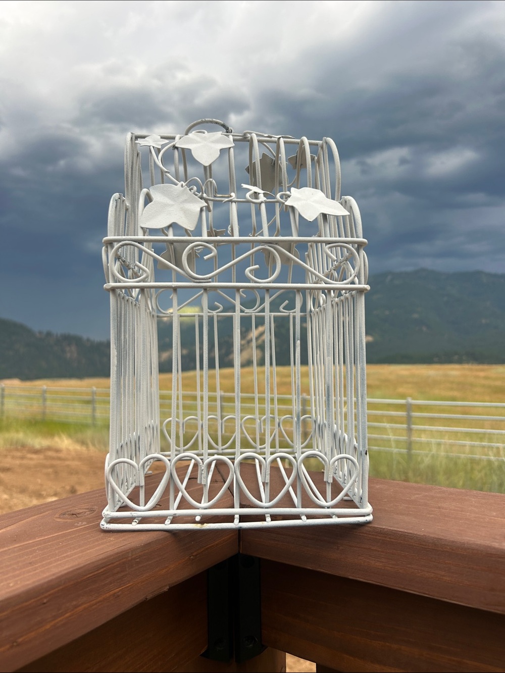 Vintage White Decorative Bird Cage Accent - Picture 5 of 8